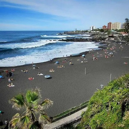 Sunflower * Puerto de Santiago (Tenerife)